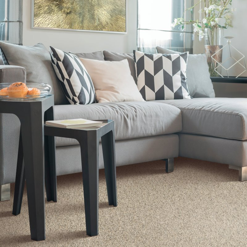 Living room with comfy carpet - Fantastic Fabric -  Hidden Treasure